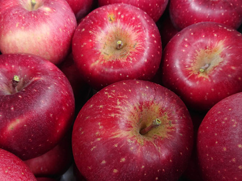 「しなのほっぺジャム」パリシャリりんごをジャムにしちゃいました。ちょっと珍しい、だいぶ珍しい？上手に出来ました。低糖度仕上げ。