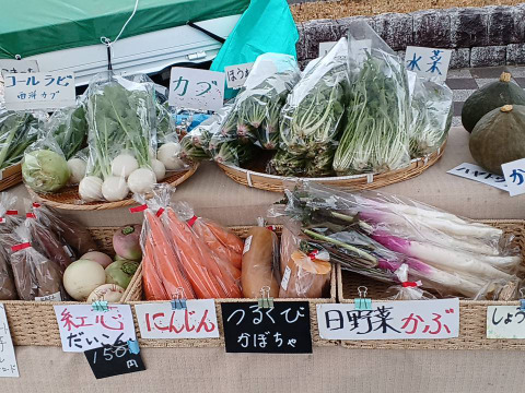 安心・安全な旬のおまかせ野菜セット　9～10種類　100サイズ