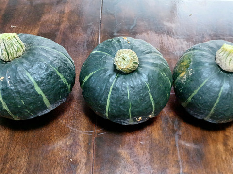 北海道から、生でも甘く食べられる白いトウモロコシ２ｋｇと、ホクホクミニカボチャ２ｋｇのセット