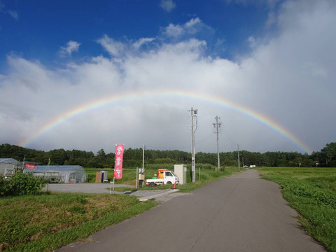 美容に食用ほおずき”１５個以上入り
１パック、コンパクト宅配にて発送農薬。
化学肥料不使用合！甘酸っぱい栄養の塊！