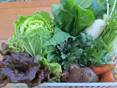 【農薬化学肥料不使用】旬の野菜セット(80サイズ5-6品)