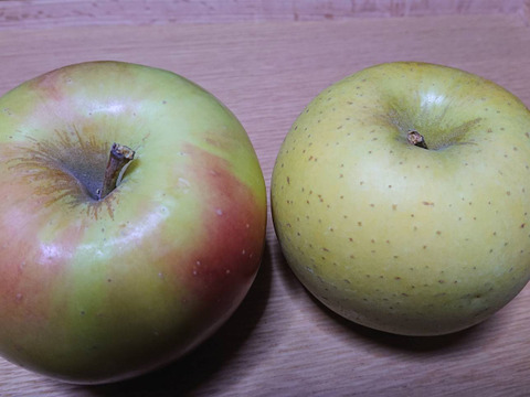 黄色いりんご特集「名月」と「しなのゴールド」が入って約10kg入り黄色いりんごの魅力