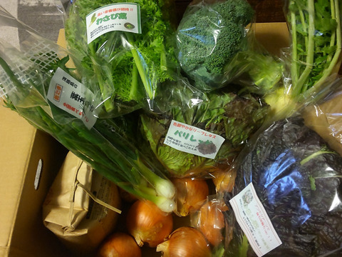 【福袋】玉ねぎ3kg🧅とキヌヒカリ玄米2kg   その他葉物野菜など5種類以上の野菜セット
