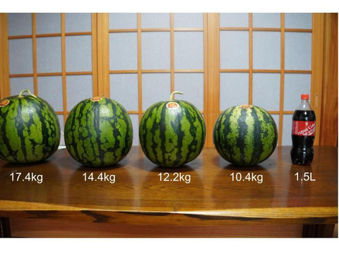 スイカ（9kg級）