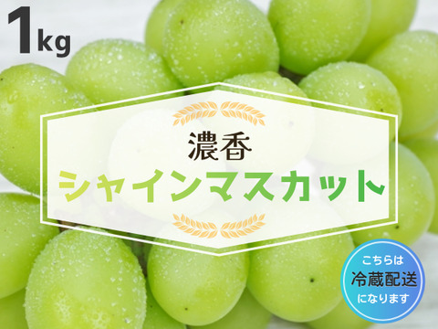 糖度抜群！種なしシャインマスカット　房売り約1kg　『クール便』