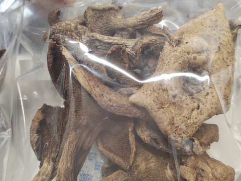 【秋茸の嬢王】香茸/コウタケ/ イノハナ/獅子茸/100g【上物/天日乾燥】