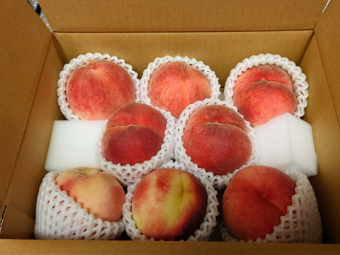 【数量限定お試し価格】桃 品種おまかせ　ご家庭用(訳あり品)  2kg