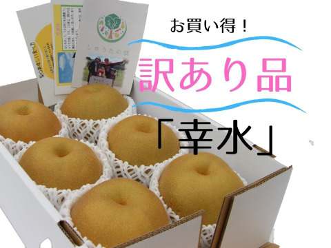 【お買い得予約品!】食べたら気分がホッコリ♪幸水梨「味は変わらないキズあり品」