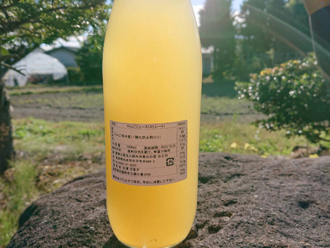 2021年10月収穫したシナノゴールドで作ったストレートジュース　甘さと酸味のバランスの良い飲み口です　爽やか/芳醇な香り