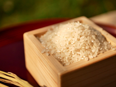 超在来品種！旭-あさひ米-！自然栽培8年目】110年前の西日本で一番人気の在来種、旭一号（5kg）★玄米・白米・５分づき米選べます★