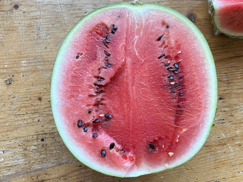 【自然栽培🍀糖度9.7前後/固定種🍉カット黒小玉スイカ】２〜３kgシャリっと甘くてジューシー（1/2個）