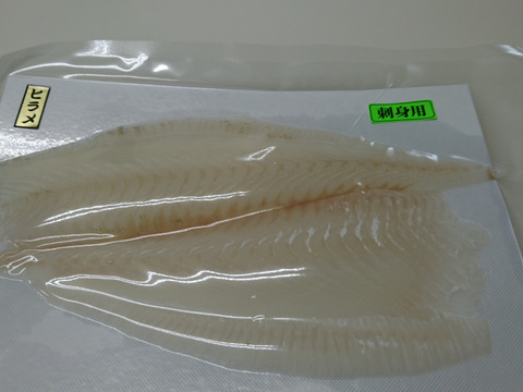 鮮度抜群！養殖ヒラメ