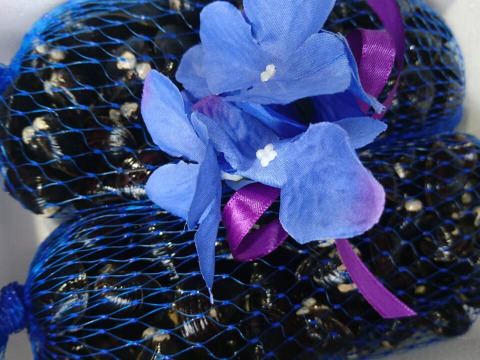 【父の日ギフト】★旬をお届け★食べ比べセット"活け込み"こだわり大和しじみ1.5㎏(Ｌ600g/Ｍ900g)茨城県涸沼湖産/完全砂抜き済