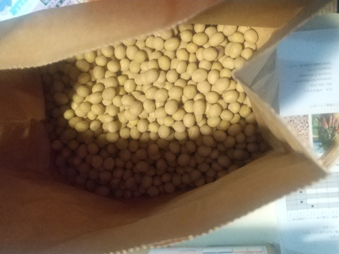 【自然栽培】ホクホク甘い大豆　3kg