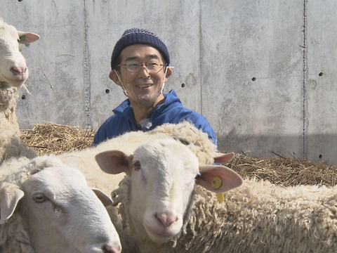 １日本初！  農家製北海道産羊乳チーズ 「石狩ひつじブルー」２４０ｇ（石狩産）