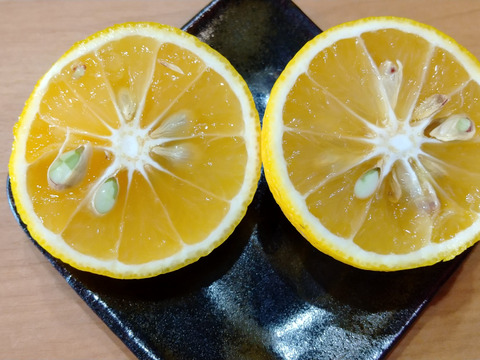 【果汁たっぷり】大分特産　カボス　5キロ　農薬不使用(自然栽培)