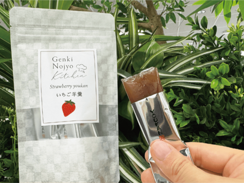 【5袋商品】いちご羊羹　17g×25本