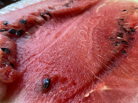 【自然栽培🍀糖度9.7前後/固定種🍉カット黒小玉スイカ】２〜３kgシャリっと甘くてジューシー（1/2個）