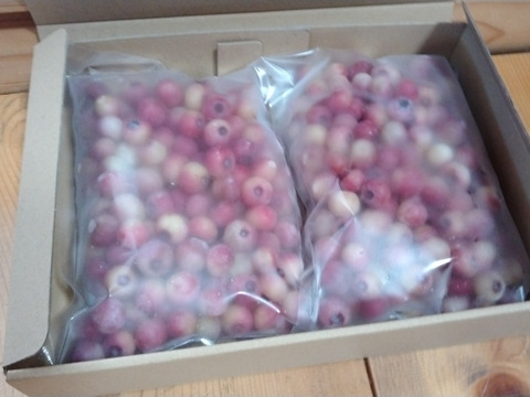 除草剤不使用、特別栽培認証の冷凍ピンクブルーベリー１キロ（ジャム、スムージー用、サイズ混在）