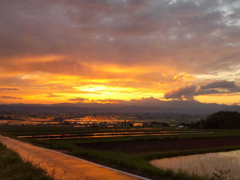 雪蔵銀ぴか米（ひとめぼれ）10㎏