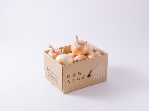 【夏限定】３ｋｇ　生でサクっと甘い　熟成サラダ玉ねぎ「熟れっ玉」（Ｌ-２Ｌサイズ）