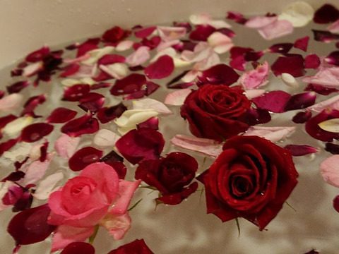 【夏季限定】箱いっぱい薔薇の花頭！王様気分♪お姫様気分♪でバラ風呂しませんか♪