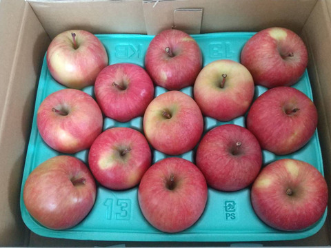 完売御礼【特別栽培りんご】蜜入り🍎こうとく2kg 葉とらずりんご 農薬50%減＋化学肥料不使用 希少品種　キズなし良品　ギフト