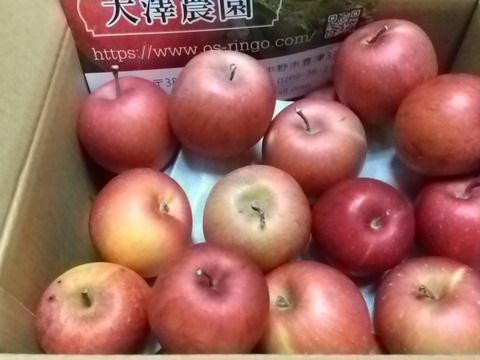 信州りんご🍎小玉４キロパック詰め