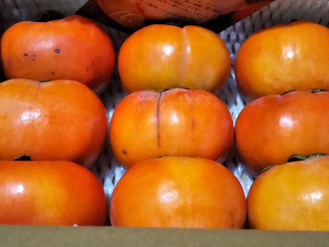 味わい深いコク＊富有柿＊【訳あり】中箱大玉（L/2L）約5kg