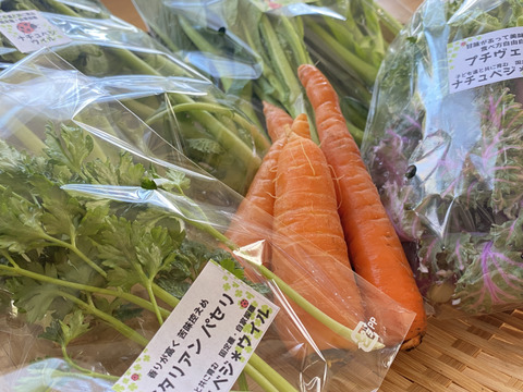 【自然栽培🍀60サイズ】春を感じる🌸採れたて！旬菜セット