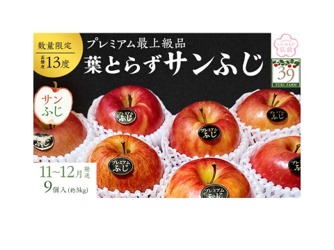 青森県産りんご　鮮度良し「自社イチオシ」完熟大きめプレミアム葉とらず蜜入りさんふじ自然味約３kg糖度１３度以上