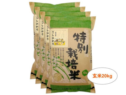 【玄米20kg】残留農薬ゼロ!情熱の結晶!つぶ感が人気の信州産こしひかり(5kg×4袋) 令和2年産
