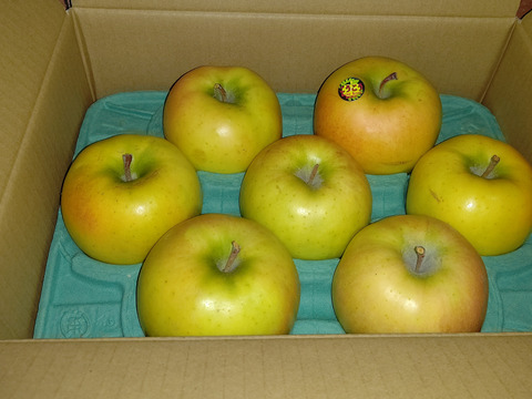 青森県産りんご　希少品種　こうこう　6個～12個　家庭用