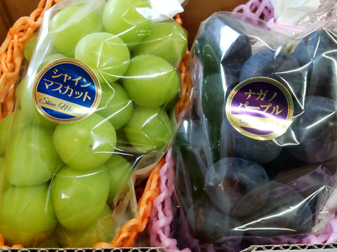 長野県産 「ナガノパープル」「シャインマスカット」 2房入り 合計900g