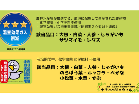 【自然栽培🍀固定種80サイズ】朝採り新鮮！旬菜セットM（３〜５人様向け）