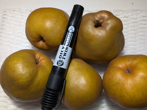 ゴールドラ・フランス