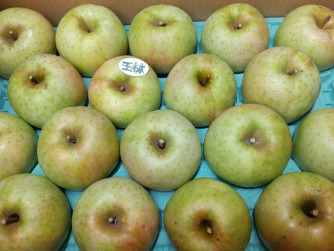 信州りんご５キロ(おまかせ品種)