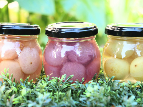 SUGAOヨーグリアセット〜ぶどう３種コンポートとドライフルーツMIX〜