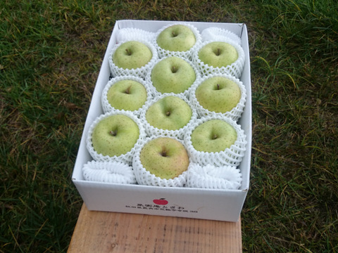 王林好きな方へ【小玉/特別栽培/ご家庭用/】王林2.5キロ