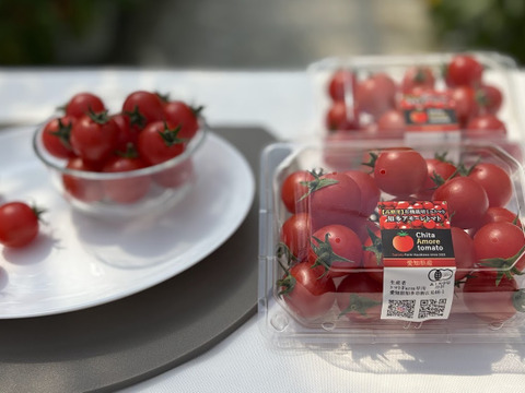 甘くて濃厚！『知多アモーレトマト』（お試しサイズ・250gｘ2p）