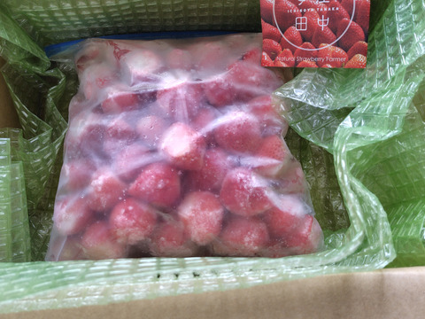 農薬不使用　冷凍苺 ２Kg