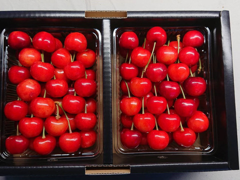 【受取日指定可】最高のバランスのさくらんぼ『紅秀峰』秀２L  1㎏ バラ（500g×2P）