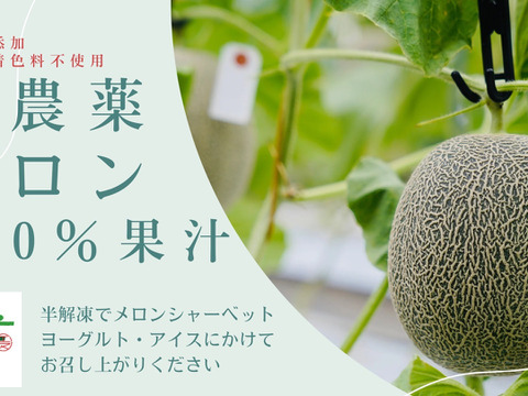 【無添加】Nfarm 畑の冷凍シリーズ　（トラパニ・玉ねぎ麹・メロン果汁）　セット