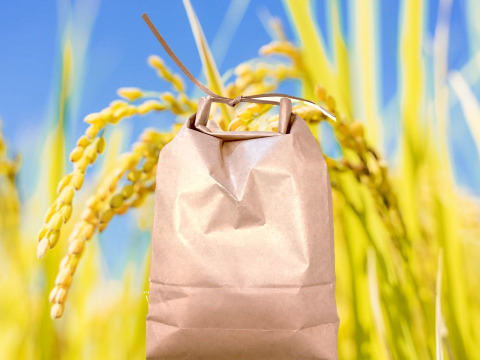 新米です！「至宝の米」北杜武川米コシヒカリ　減農薬米（精米3キロ）