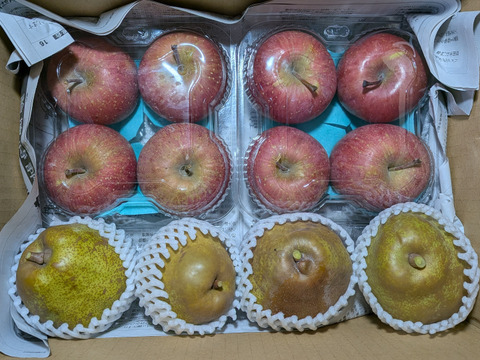 訳あり果物セット