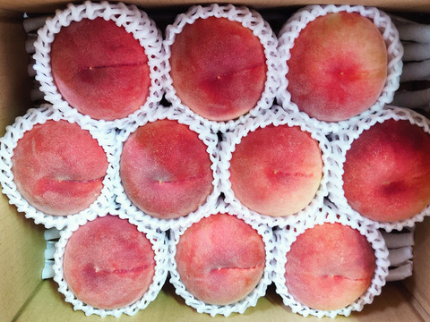 家庭用　川中島白桃　3k １０玉前後