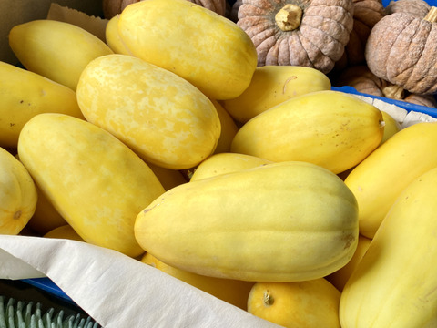 今期最終【自然栽培🍀黄金マクワウリ約1kg（3個前後）】伝統野菜・優しい自然の甘さ（簡単！美味しいレシピ付き）