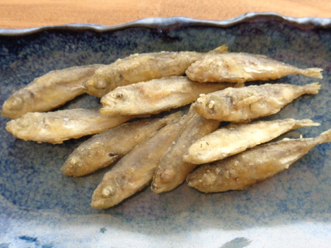 【🧍単品】マメに働かない「ほっこり🐽豆アジ」。カリッと揚げたら🍺ビールに最高🤣！【豆アジ唐揚げ１０００ｇ】絶品🌟