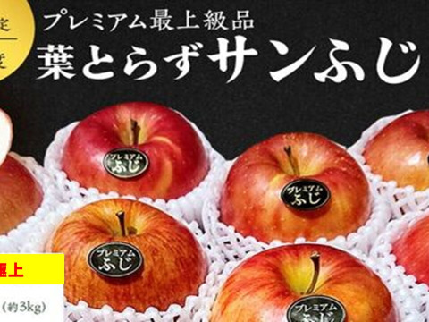 青森県産りんご 【大人気】【代々受け継がれた匠の味】大玉プレミアム蜜入り葉とらずさんふじ3Kg糖度13度以上