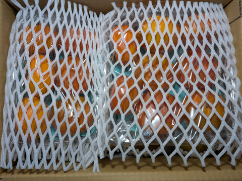 訳あり果物セット